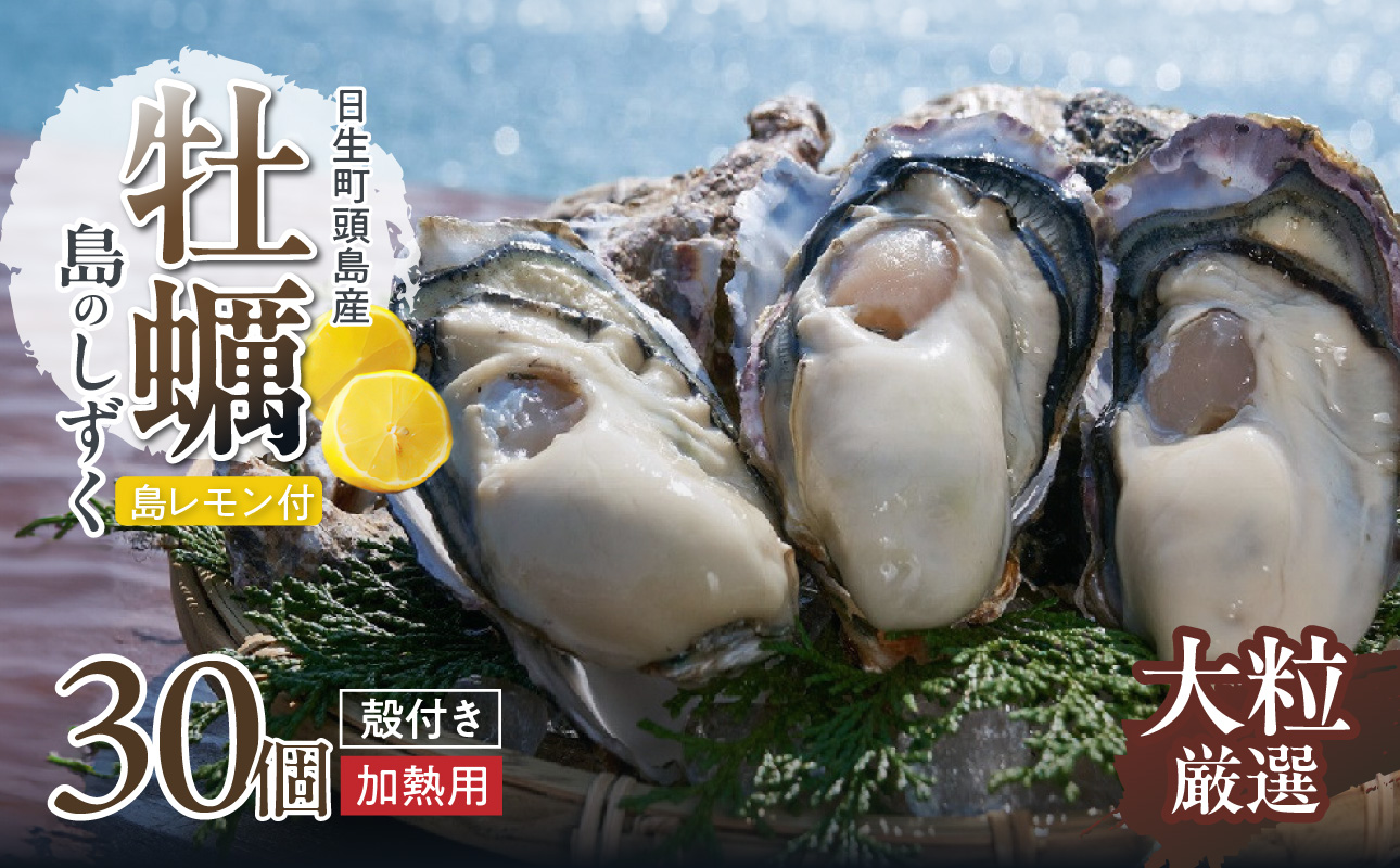 【厳選！】日生頭島大粒殻付牡蠣「島のしずく」（加熱用・30個）と「島レモン」